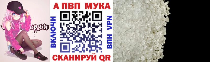 A PVP СК КРИС  Шали 