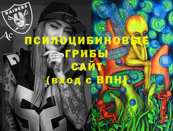 гидропоника Абаза