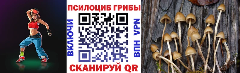 Псилоцибиновые грибы MAGIC MUSHROOMS  закладки  Шали 